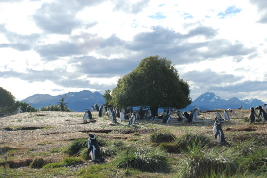 trip to Patagonia