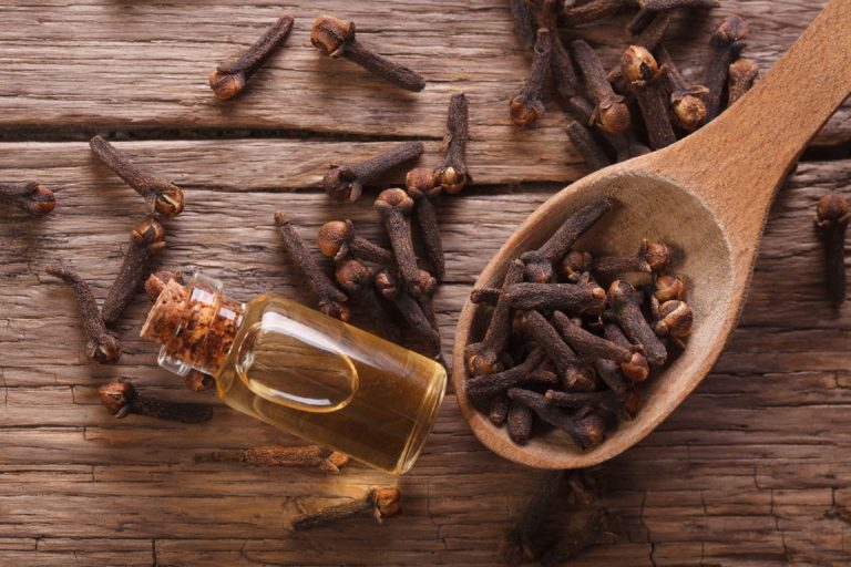 Use of clove How to eat this aromatic and antioxidant herb