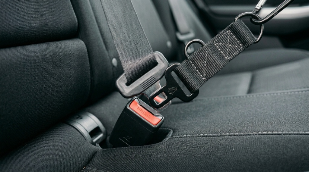 Close-up of black nylon pet safety belt clicked into car buckle.